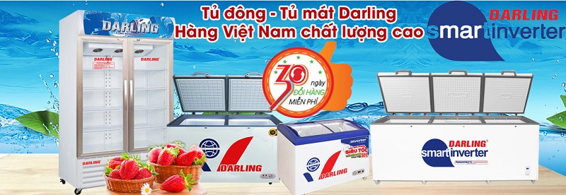 tủ đông và tủ mát darling