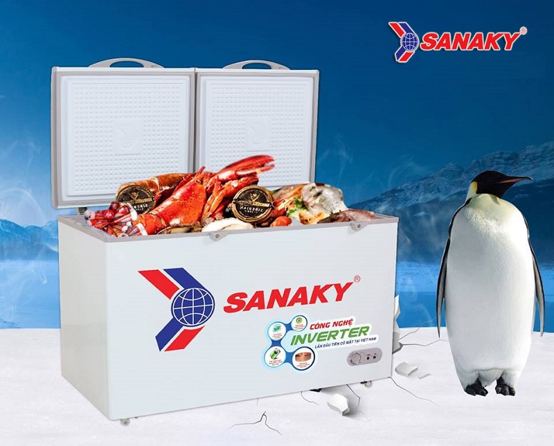 tủ đông sanaky