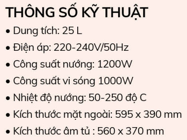 Lò vi sóng âm tủ Dandy 25L DY-NSS250